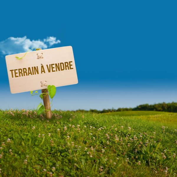 Terrain à vendre ahossougbéta