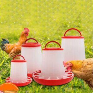 Mangeoire pour poules – Image 5