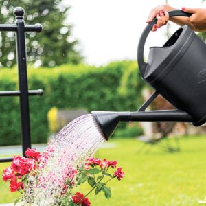 Arrosoir en Plastique – Léger, Durable – Image 4